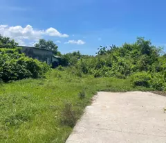 Bán 1000m2 đất gần Biển Đồi Dương - Bình Tân -LaGi chỉ 1.8 tỷ sổ riêng