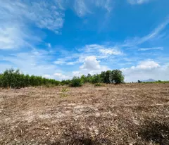 Bán 4000m2 đất mặt tiền đương 719, Tân Bình, LaGi giá mềm 700 triệu/ sào