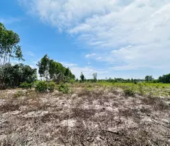 Bán 4000m2 đất mặt tiền đương 719, Tân Bình, LaGi giá mềm 700 triệu/ sào