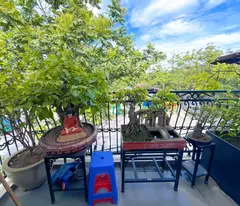 MẶT ĐƯỜNG DƯƠNG VĂN BÉ HAI BÀ TRƯNG: DT 56M2 - MT 4M - HIỆU SUẤT KINH DOANH CAO - 22 TỶ