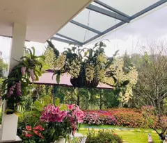 Cho thuê villa sân vườn 12 phòng ngủ gần đèo Pren Đà Lạt 35tr/tháng