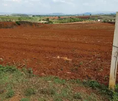 Bán 11140m2 đất N'Thôn Hạ Đức Trọng Lâm Đồng 11 tỷ