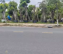 ► HOT – CHO THUÊ ĐẤT MẶT TIỀN KINH DOANH CỰC ĐẸP TẠI HÒA QUÝ, ĐÀ NẴNG