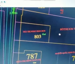 Chính chủ cần bán nhà đất 200m² tại Bình Mỹ, Củ Chi - 2 mặt tiền đường, gần Vành đai 3.