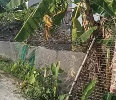 Bán đất 75m2 Tại Đông Hà Bắc Sơn An Dương Hải Phòng