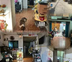 CHÍNH CHỦ CẦN BÁN NHÀ GIÁ TỐT – QUẬN 10