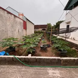 Bán đât lô góc 102m mặt tiền 6m đường oto tránh