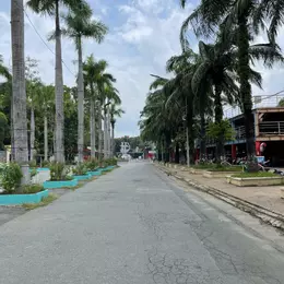 Chính chủ gấp bán 46m2 4T H5M Lạc Long Quân phường3  Q 11