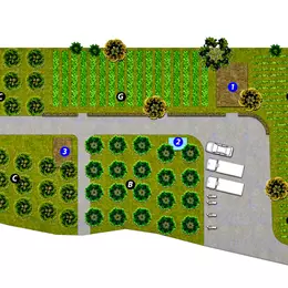 Chủ chuyển về quê sinh sống, cần bán lô đất rộng khoảng 2400m2, đất trồng cây lâu năm.