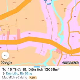 Chính chủ bán nhanh vườn sầu riêng Bù Đăng Bình Phước 6800m2 1,9 tỷ