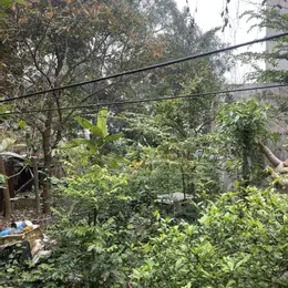 Bán 100m2 đất Bắc Hà, Nam Hồng, Đông Anh, Hà Nội