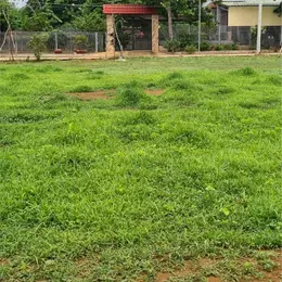 CHÍNH CHỦ CẦN BÁN 170M2  ĐẤT THỔ CƯ TẠI TRUNG TÂM TT ĐẤT ĐỎ BÀ  RỊA VŨNG TÀU