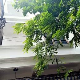 Phân lô cạnh dự án Gold Mark City 136 Hồ Tùng Mậu 35m 4 tầng chỉ hơn 7 tỷ
