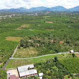 400 TRIỆU 1 LÔ DUY NHẤT - SĂN MÂY TẠI BẢO LỘC