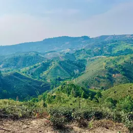 100K/M2 ĐẤT NGHĨ DƯỠNG NHÀ VƯỜN BẢO LỘC - SIÊU HOT