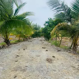 🌟 Cơ Hội Vàng Đầu Tư Tại Lô Góc 30x30m Tại Đức Hòa 🌟