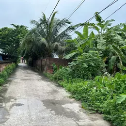Bán đất Đức Nhuận Dạ Trạch diện tích 99.5m mặt tiền 5.56m nở hậu giá đầu tư