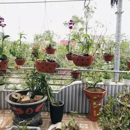 Gấp bán nhà Đường Trường Sơn, Đà Nẵng. Giá yêu thường 3.9 tỷ