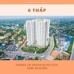 Từ 1,2x tỷ tại tecco elite city, quản lý cho thuê hộ dòng tiền 12%/năm