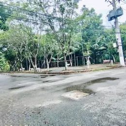 🛎️ 🛎️CÔ CẦN B.Á.N GẤP❗️ĐẤT FULL THỔ CƯ - 52M2 CHỈ 2TỶ NHỎ (CÒN TL )TP. THỦ ĐỨC📣