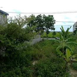 Cần bán nhanh lô đất mặt đường TL517 Đông Yên-Đông Sơn đất đã có sẵn móng nhà kiên cố chắc chắn
