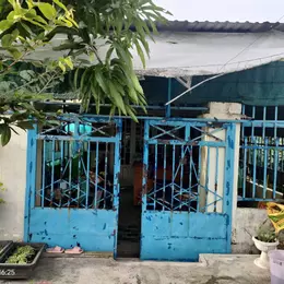 Bán hoặc cho thuê nhà riêng 5x50m2
