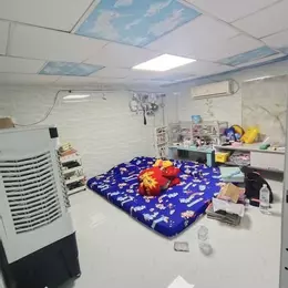 Nhà  Nguyễn Thượng Hiền, P.5,PN, HXHsn ,64m2, lô góc, không QH