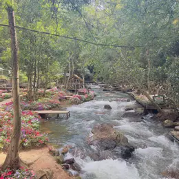 Đất nền Đà Lạt bán cắt lỗ, vị trí đẹp, phù hợp làm nhà kính, Homestay cho thuê.