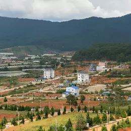 Hoa hậu KĐT Vạn Xuân Langbiang- 290m2, view rừng thông