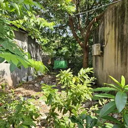Chính chủ bán gấp đất Thúy Lĩnh Hoàng Mai  85m2 5m mặt tiền 4 tầng chỉ hơn 7 tỷ ô tô dừng đỗ cửa