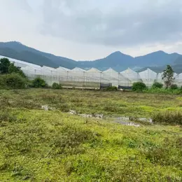Chính chủ bán lô đất 7000m2 ở Lâm Đồng, gần khu du lịch LangBiang