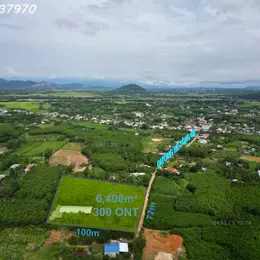 Bán rẻ vườn 6400m2 đất Nghĩa Thắng Tư Nghĩa Quảng Ngãi