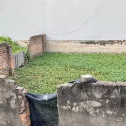 Thửa 172, Ngõ 2 Xóm 2 Thôn 3 Vạn Phúc - Tỷ Thanh Trì