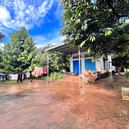 Cần bán 3ha cao su Đồng Tiến cách quốc lộ 14 150 m cao su nhiều mủ tất bằng đẹp nhà cửa điện nước