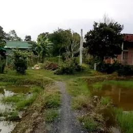 BÁN ĐẤT - TÂN TRỤ, LONG AN 962M2 CHỈ NHỈNH 1 TỶ.