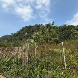 Bán cắt lỗ mảnh đất Tân Lập, Mộc Châu.