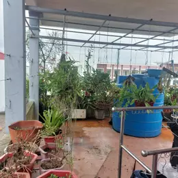 Bán nhà 3 tầng, 86m2, ngõ đẹp,Thị trấn Đông Hưng,Thái Bình giá 3.2 tỷ
