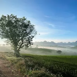 Bán cắt lỗ Homestay tại Mộc Châu