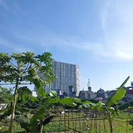 NHÀ ĐẸP BÊN MỸ - HÀNG HIẾM - NGÕ THÔNG - SỔ NỞ HẬU - GIÁ ĐẸP - 55m2 - Nhỉnh 8 tỷ