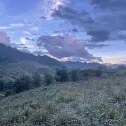 Bán nhanh 8000m2 đất tại trung tâm Mộc Châu thích hợp đầu tư du lịch