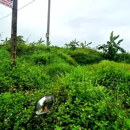 Bán đất Hưng Hà, Diện tích 100m2, mặt tiền 5m, thích hợp kinh danh buôn bán,giá  1,7 tỷ
