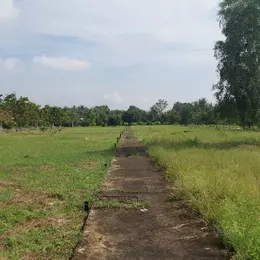 Chính chủ bán sỉ 30 nền đất trong khu dân cư Mỏ Cày Nam, sát bên thị trấn Mỏ Cày.