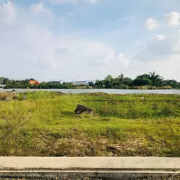 Trả trước 450 triệu , sở hữu nền gần full thổ , sổ sẵn