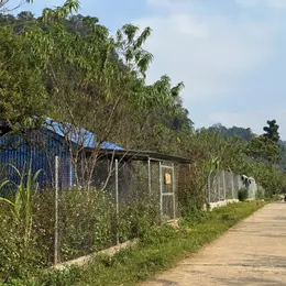 Cần tiền bán gấp lô đất 1600m2 tại Mộc Châu nhỉnh hơn 1 tỷ