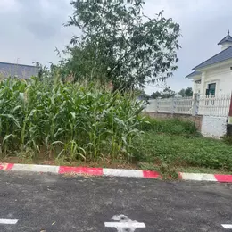 Bán lô đất siêu phẩm Phúc Tiến 71.2m 7mt ôtô ngõ thông giá rẻ 2.2 tỷ