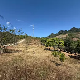 Chính chủ bán gấp đất 9000m2 tại Mộc Châu sẵn nhà sàn và vườn cây ăn quả