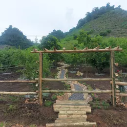 Chính chủ bán nhanh 800m2 đất du lịch tại Mộc Châu