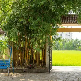 Cần sang nhượng Homestay Hội An Đà Nẵng giá đầu tư chỉ hơn 25 triệu/1m2