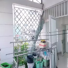 Cần Bán Nhà Tại 128/6 Cô Bắc phường Cô Giang, Quận 1.