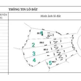 MỞ BÁN GẤP 5 LÔ F0 TẠI THÔN MỊN TO_XÃ TRÙ HỰU_LỤC NGẠN_BẮC GIANG